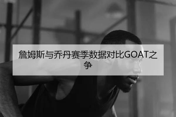 詹姆斯与乔丹赛季数据对比GOAT之争
