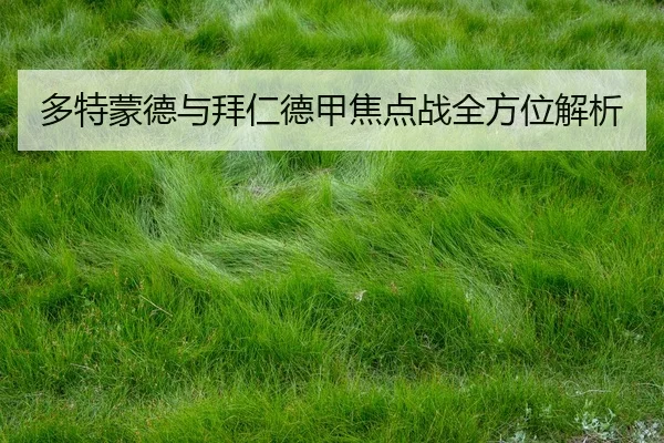 多特蒙德与拜仁德甲焦点战全方位解析